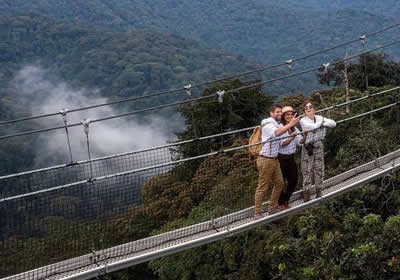 Nyungwe National Park guide: chimp trekking permits, the canopy walk, best seasons, and 130km of forest trails in Rwanda's largest montane rainforest